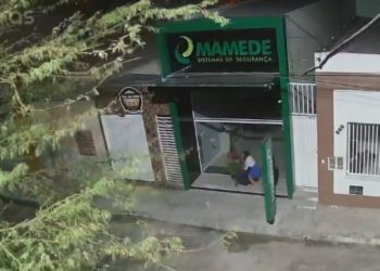 Câmera flagra momento que duas pessoas furtam caqueiro da frente de uma loja