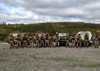 Roça de maconha e três criminosos localizados em Mucugê