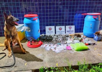 Operação da PM encontra esconderijo de pistola e drogas de facção