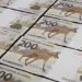 Banco Central apresenta nova cédula de R$ 200