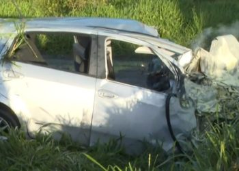 BR 101: motorista de carro morre após atingir cavalo, ir para contramão e bater em carreta