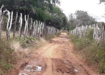 Quatro jovens são encontrados mortos a tiros na zona rural de Serra Preta