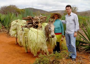 Eduardo Salles defende melhorias para trabalhadores do sisal, mas afirma que fechar campos causa desemprego em massa na região