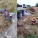 Motociclista morre ao cair de uma ponte na BR 324 no sentido Riachão – Nova Fátima