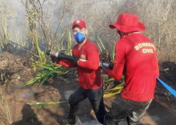 Valente – Bombeiros civis Guardiões da Vida controla incêndio em mata seca