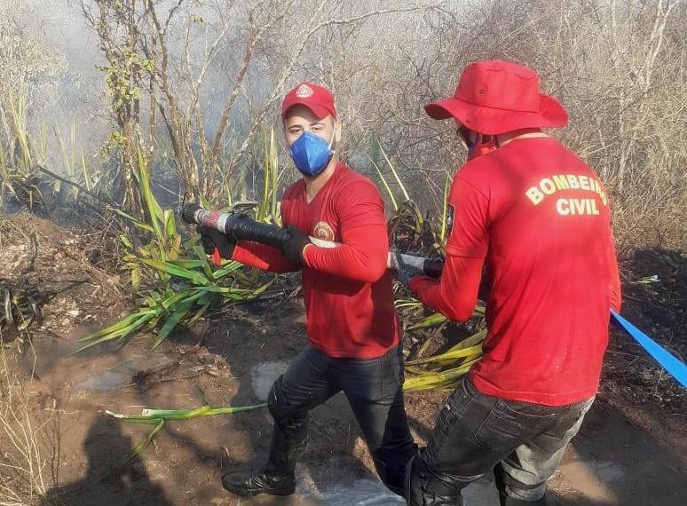 Valente – Bombeiros civis Guardiões da Vida controla incêndio em mata seca