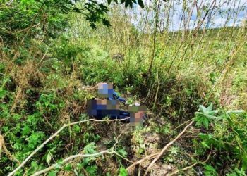 Duas jovens de São Domingos são encontradas mortas em matagal em Feira de Santana