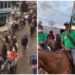 Candidatos e eleitores encontram forma criativa de continuar mostrando sua força política por meio das cavalgadas
