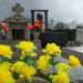 Dia de Finados com chuva em Coité é raridade e vendedores de flores avaliam como o ano de menor movimento
