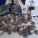 Jovem é preso e adolescente é apreendido com drogas em Serrinha