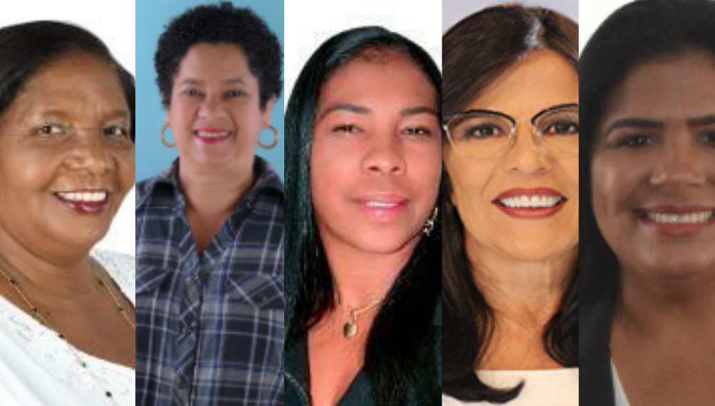 Mulheres no poder V: As 26 mulheres eleitas vereadoras nos 17 municípios do território Portal do sertão estão representando 12 partidos