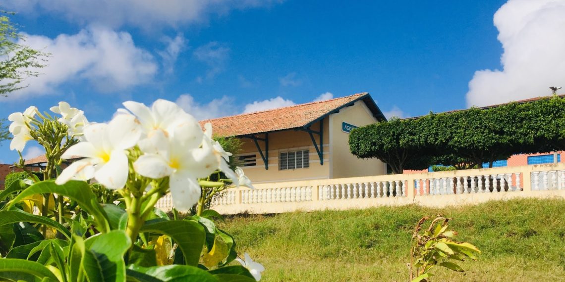 Mesmo com a ‘segunda onda’ da Covid-19, Secretaria de Saúde de Barrocas informa que zerou os casos