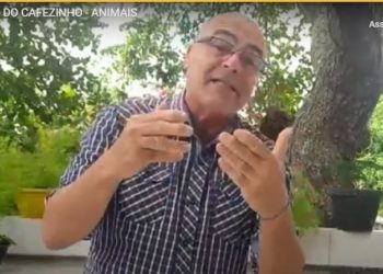 Ponto do Cafezinho – Homem sai ileso em queda de jegue em alta velocidade e cágado impede aterrizagem de avião