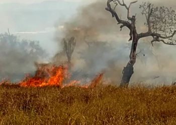 Fogo consome rapidamente vegetação de roça no Bairro Fluminense