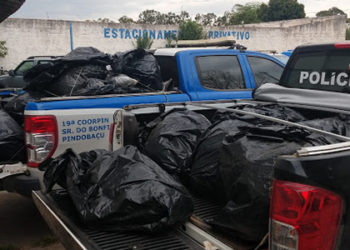 Polícia Civil apreende drogas avaliadas em 1 milhão de reais em Senhor do Bonfim