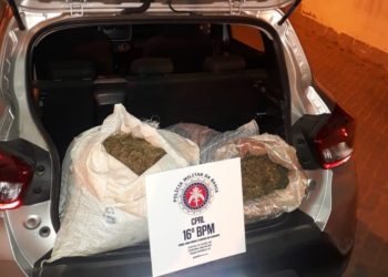 Motorista de aplicativo flagrado com 40 kg de maconha em Serrinha