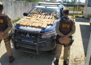Serrinha: guarnição localiza 75 tabletes de maconha abandonada as margens da BA 411