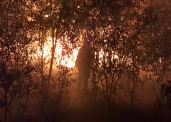 Incêndio atinge áreas da Chapada Diamantina