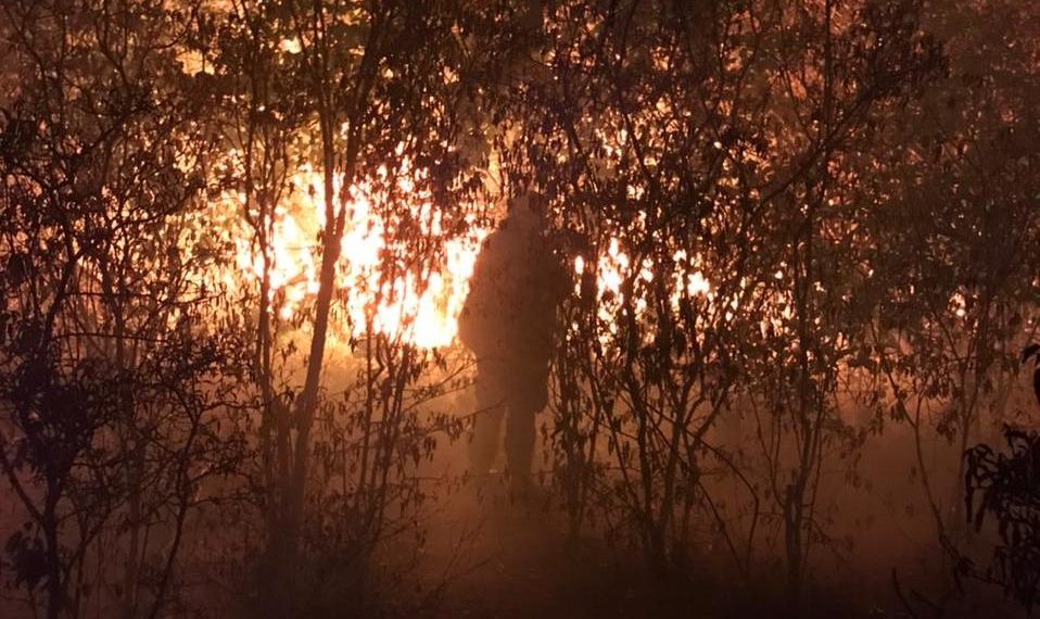 Incêndio atinge áreas da Chapada Diamantina