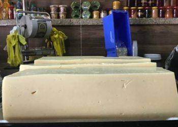 Implantação de lacticínio na terra do requeijão impulsiona produção de leite