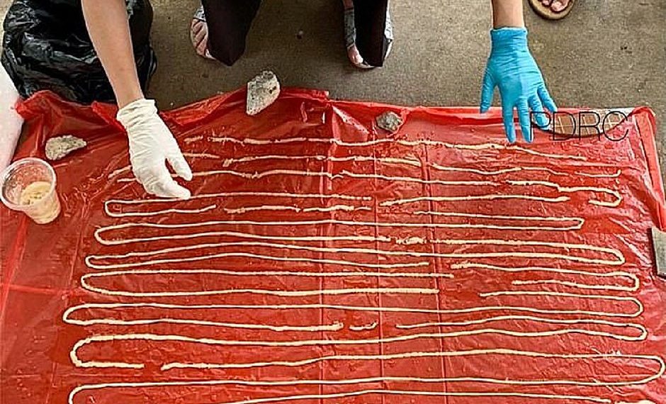 Idoso vai a hospital com dor de estômago e descobre verme de 18 metros em seu reto