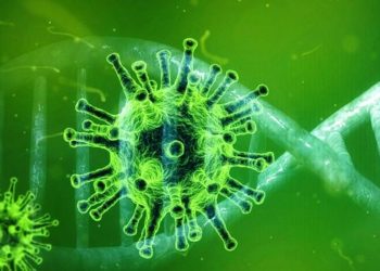 Coordenadora da CIEVS alerta sobre transmissão comunitária das variantes SARS-CoV-2 da linhagem de Manaus, e VOC do Reino Unido, no Estado; Santaluz tem registro