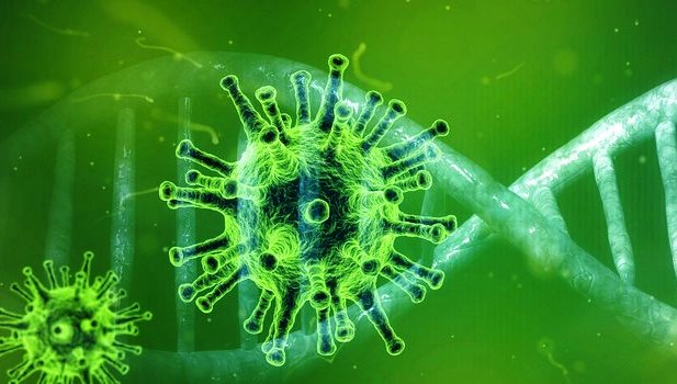 Coordenadora da CIEVS alerta sobre transmissão comunitária das variantes SARS-CoV-2 da linhagem de Manaus, e VOC do Reino Unido, no Estado; Santaluz tem registro