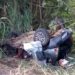 Acidente envolvendo carreta, moto e Uno deixa cinco mortos na BR 101/Sul