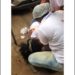 Técnicas de enfermagem são atropeladas em drive de vacinação da Covid