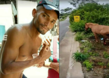 Animal na pista provoca acidente que resulta em duas mortes na BA 220
