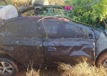 Carro colide em animais na BA 144, deixa uma pessoa morta e outra ferida