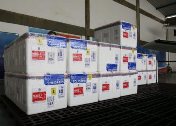 Estado recebe novo lote com mais de 280 mil doses da vacina contra a Covid-19
