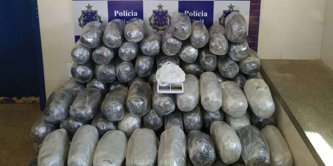 Drogas avaliadas em R$ 200 mil são apreendidas em Irecê