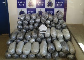 Drogas avaliadas em R$ 200 mil são apreendidas em Irecê