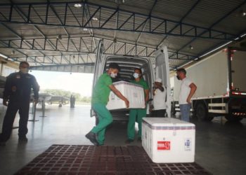 Remessa com 60.200 doses da Coronavac chega à Bahia