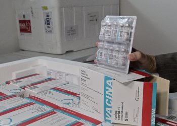 Anvisa manda suspender uso da Astrazeneca em gestantes; Saúde investiga morte de grávida