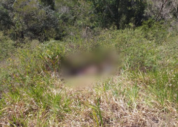 Guarda Municipal localiza dois corpos na Serra do Tombador em Jacobina
