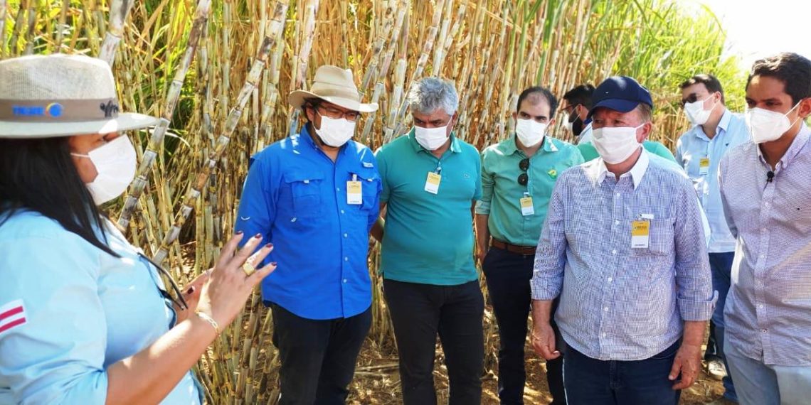 Petrobahia pode armazenar e distribuir etanol no Polo Agroindustrial do Médio São Francisco. A previsão é de gerar mais de 200 empregos