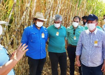 Petrobahia pode armazenar e distribuir etanol no Polo Agroindustrial do Médio São Francisco. A previsão é de gerar mais de 200 empregos