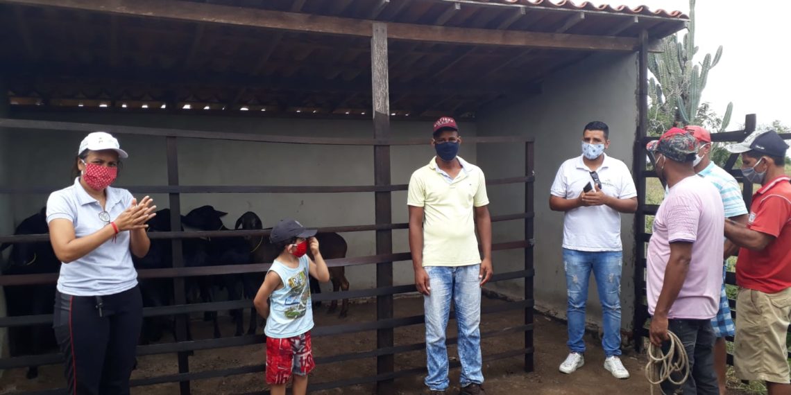 Criadores de caprinos de Nova Fátima aumentam criação e lucram 66,6% a mais com a venda de animais