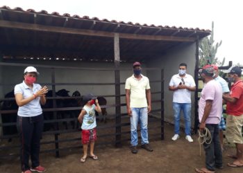 Criadores de caprinos de Nova Fátima aumentam criação e lucram 66,6% a mais com a venda de animais