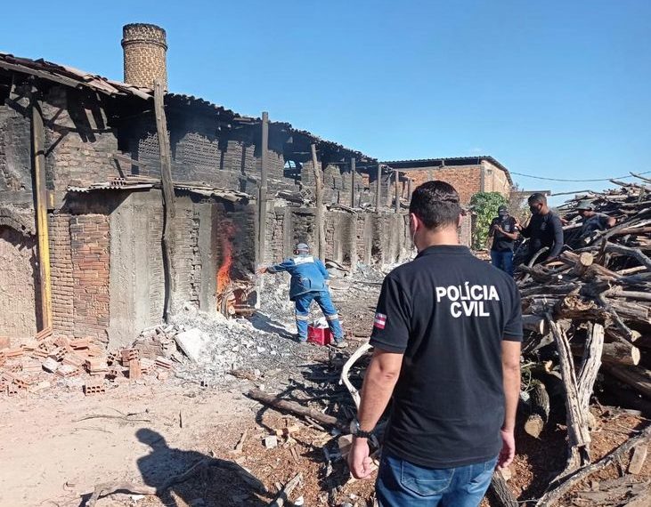 Bahia tem 3,94 toneladas de drogas incineradas pela Narco Brasil