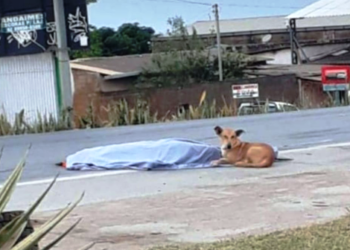 Homem tenta salvar cachorro e morre atropelado por caminhão