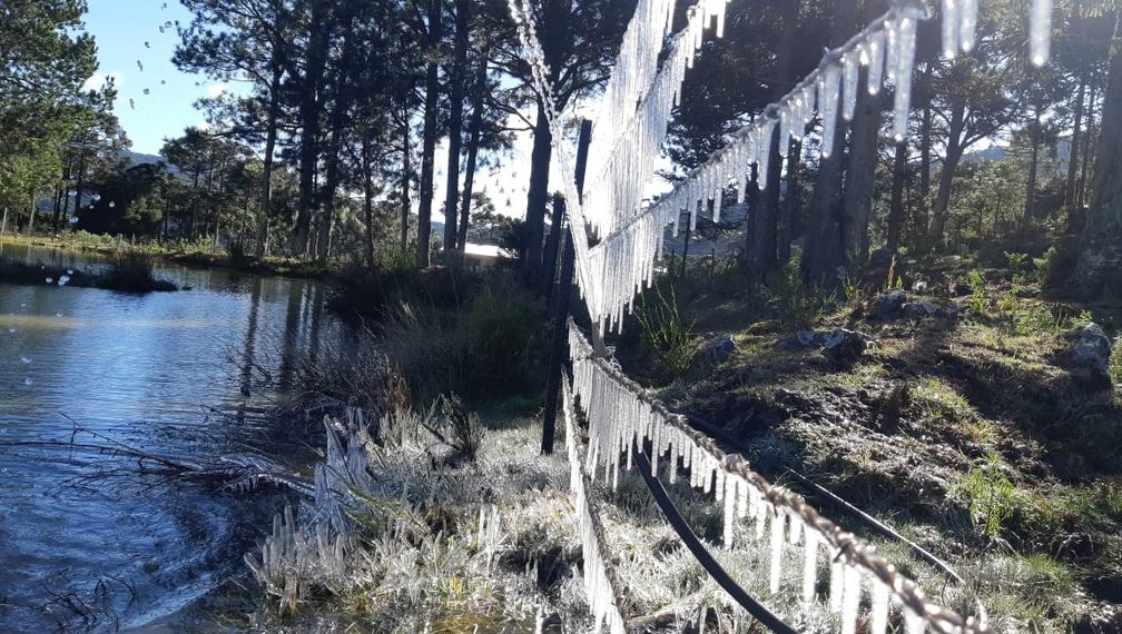 SC – Mais de 50 cidades amanhecem com temperaturas negativas, diz Epagri/Ciram