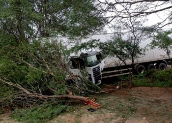 Acidente envolve três veículos na BR-407. Ninguém ficou ferido com gravidade