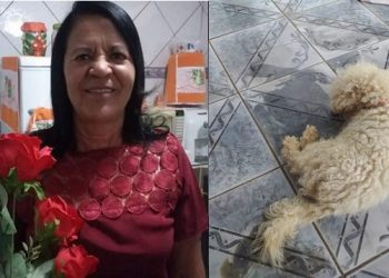 Cachorro morre horas depois do óbito da dona