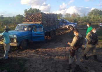 Crime ambiental: caminhão carregado de madeira nativa da caatinga é flagrado em propriedade rural de Retirolândia