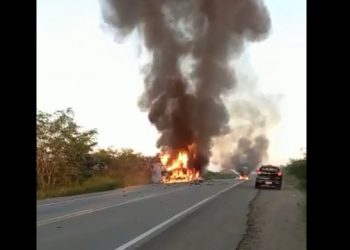 Caminhão carregado verdura e legumes pega fogo na BR 324