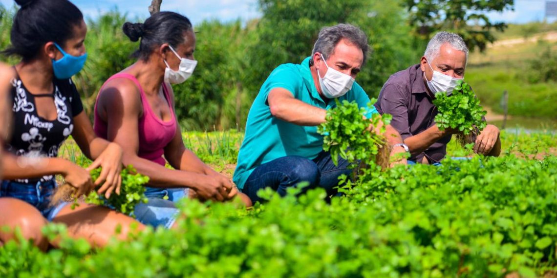 Prefeitura de Coité irá destinar mais de meio milhão de reais para agricultura familiar