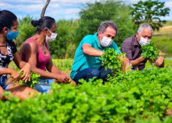 Prefeitura de Coité irá destinar mais de meio milhão de reais para agricultura familiar